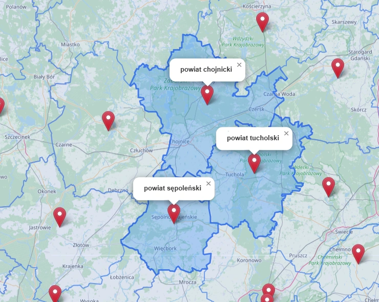 wyszukiwarka przetargów publicznych